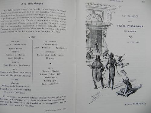Indéterminé